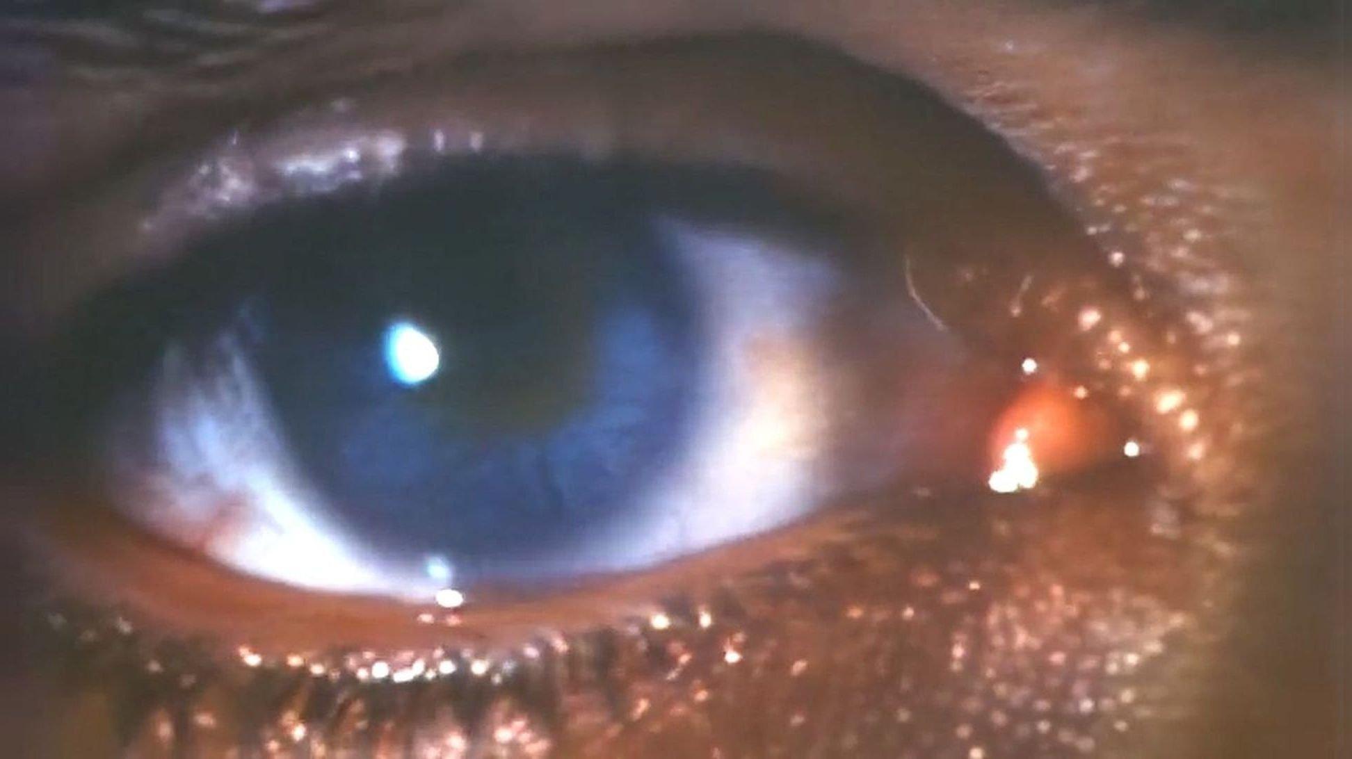 Faces of Death III 1985 movie scene