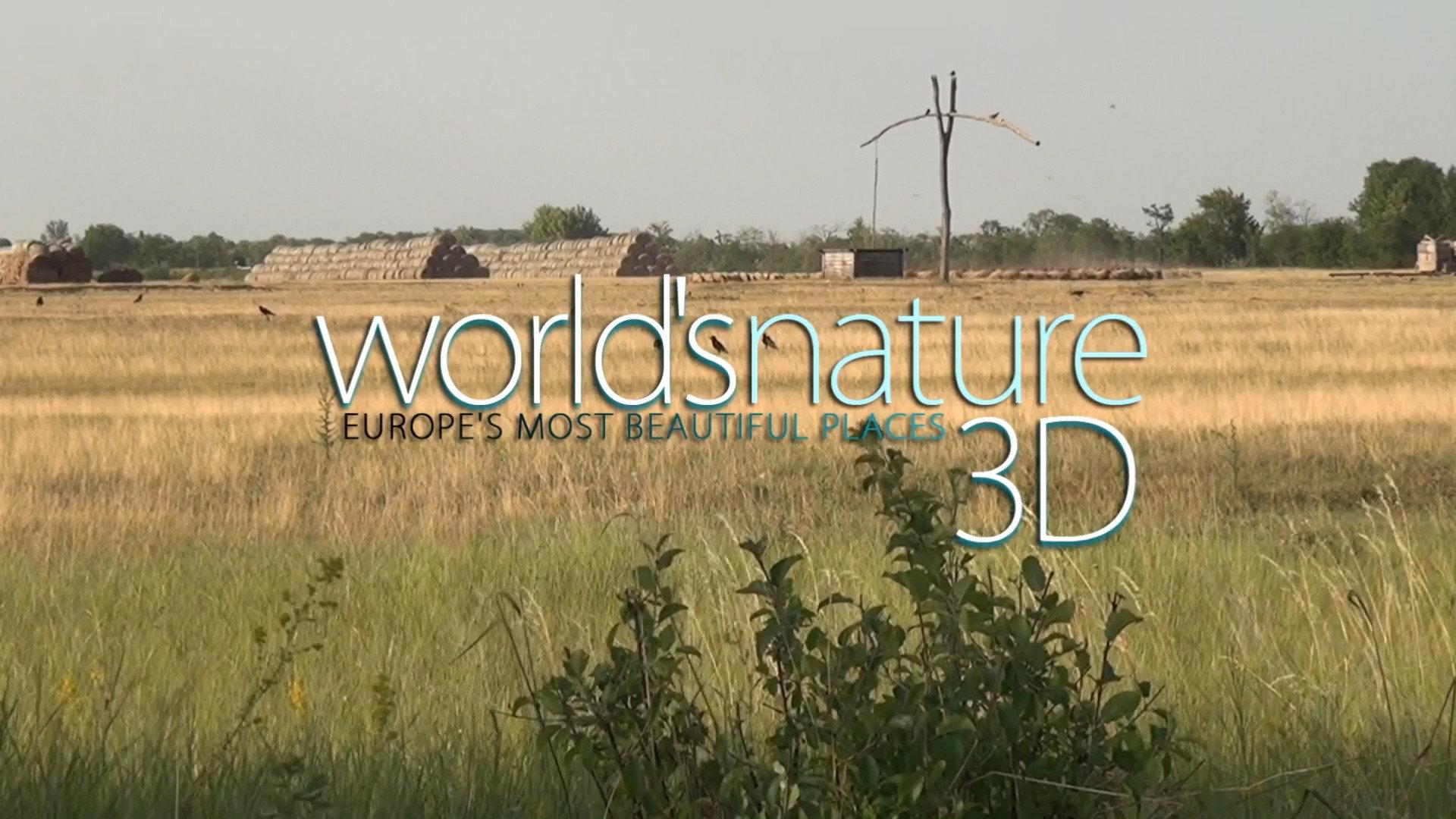 World's Nature 3D 2013 movie scene