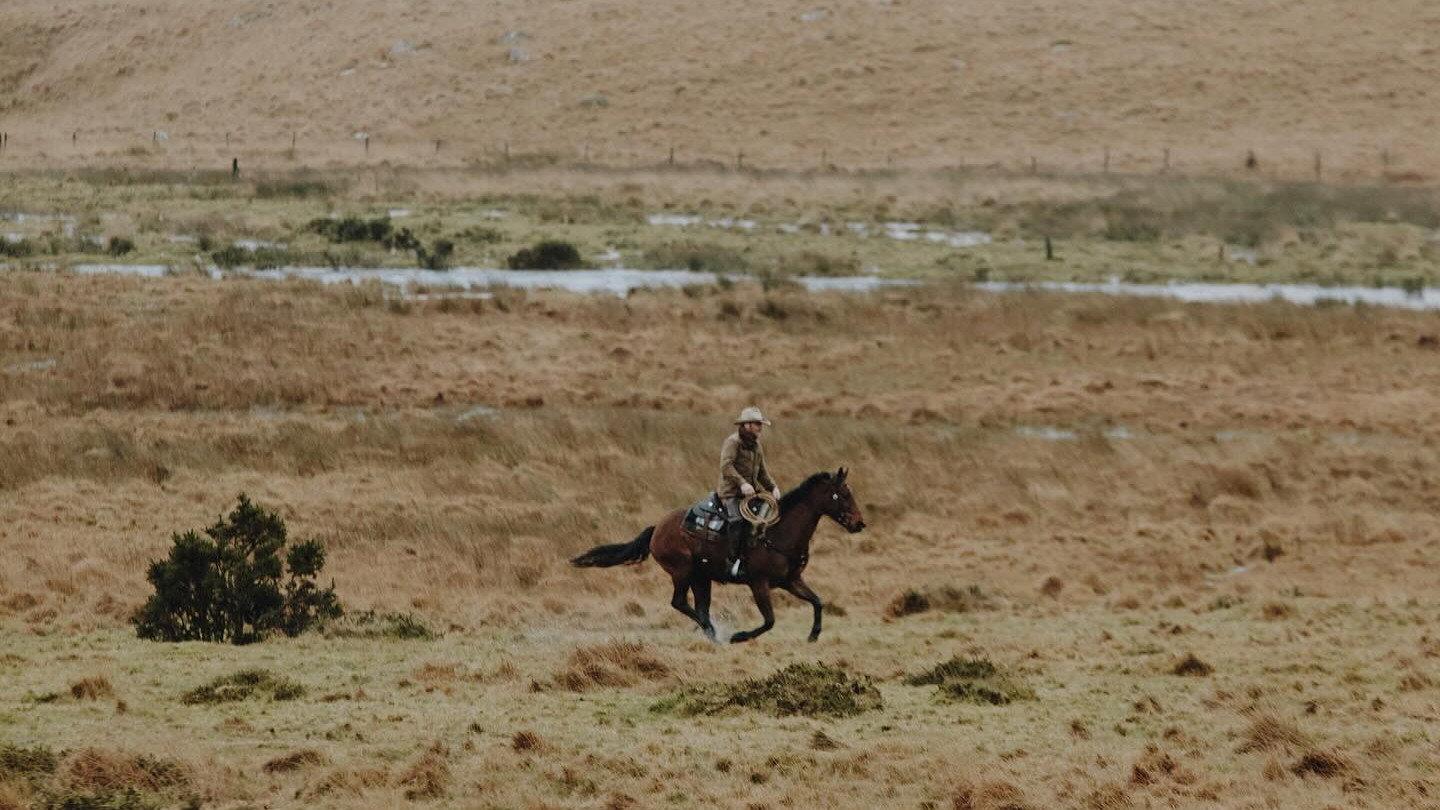 The Dartmoor Cowboy movie scene