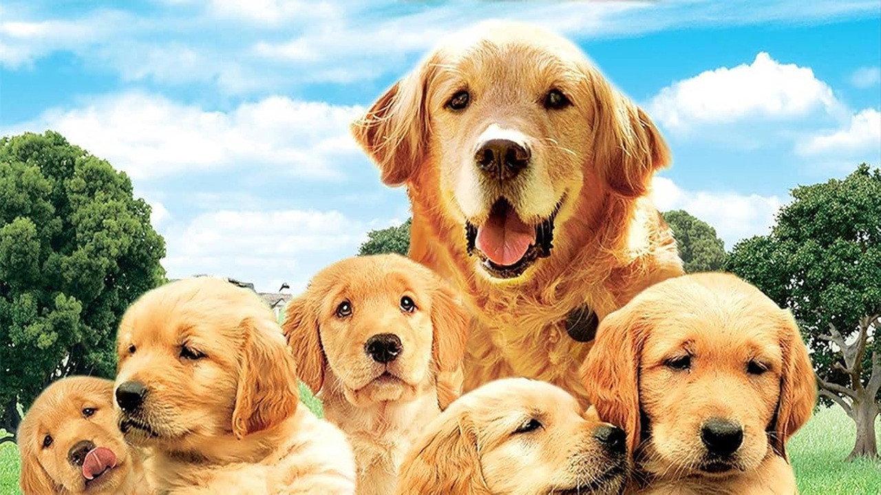 The Retrievers 2001 movie scene