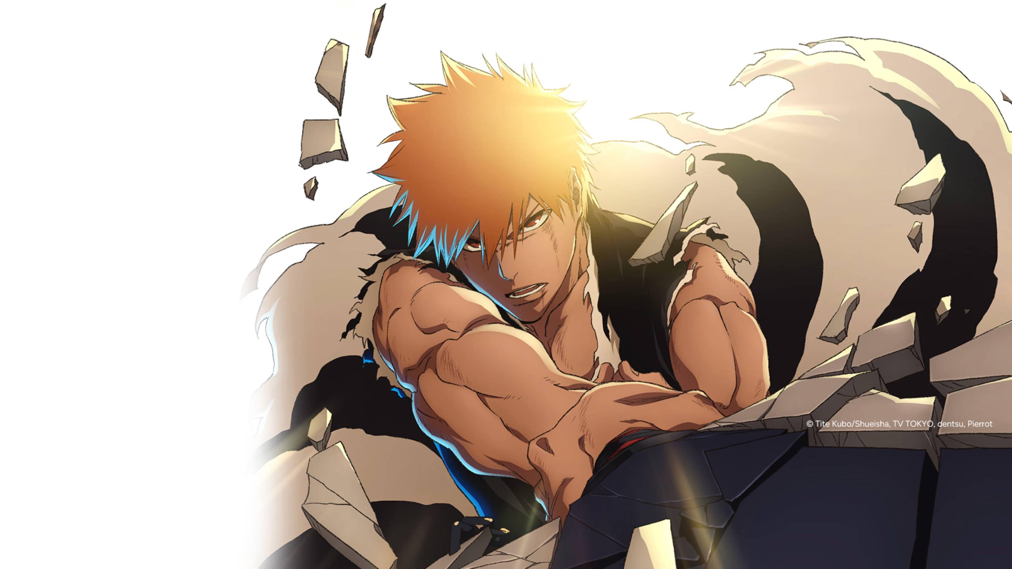 Bleach: Thousand-Year Blood War - The Calamity 2026 movie scene