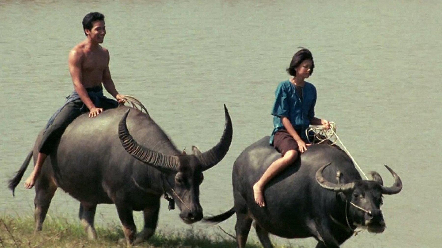 Kwan Riam 2001 movie scene