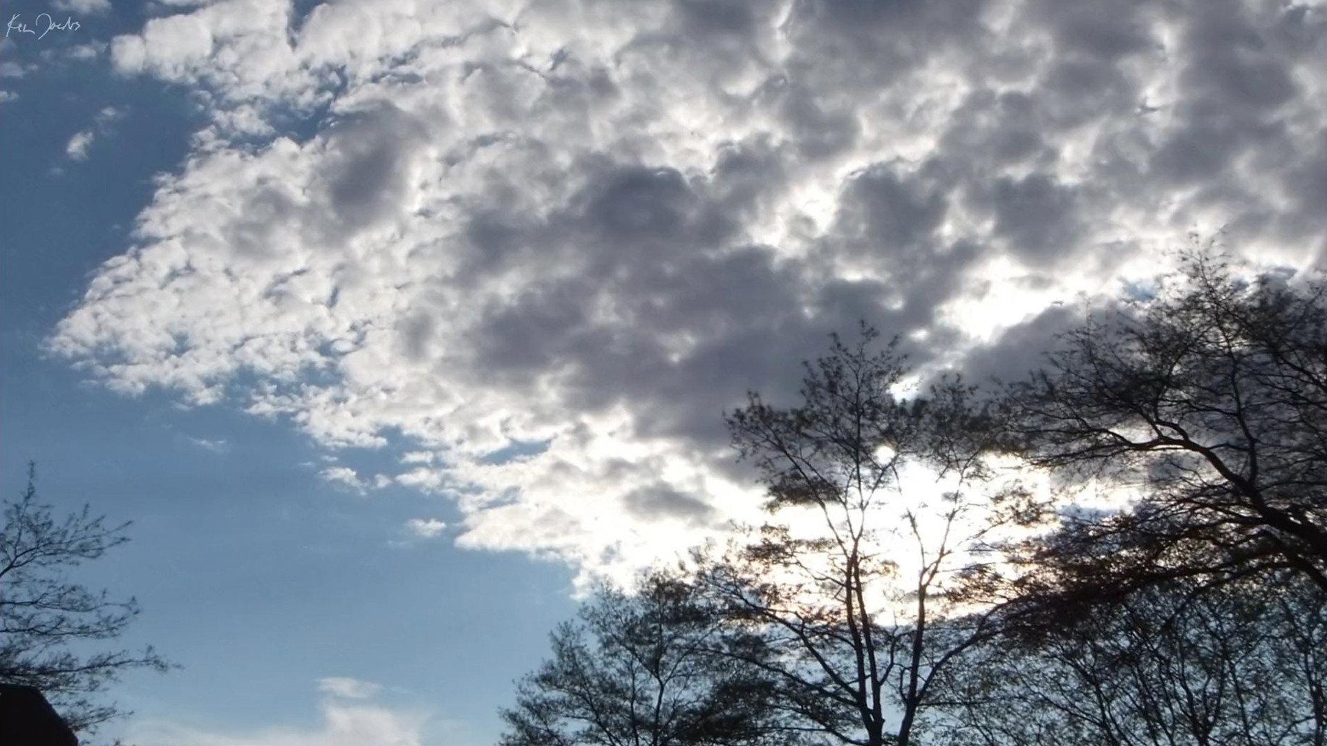 Clouds and Trees 2020 movie scene