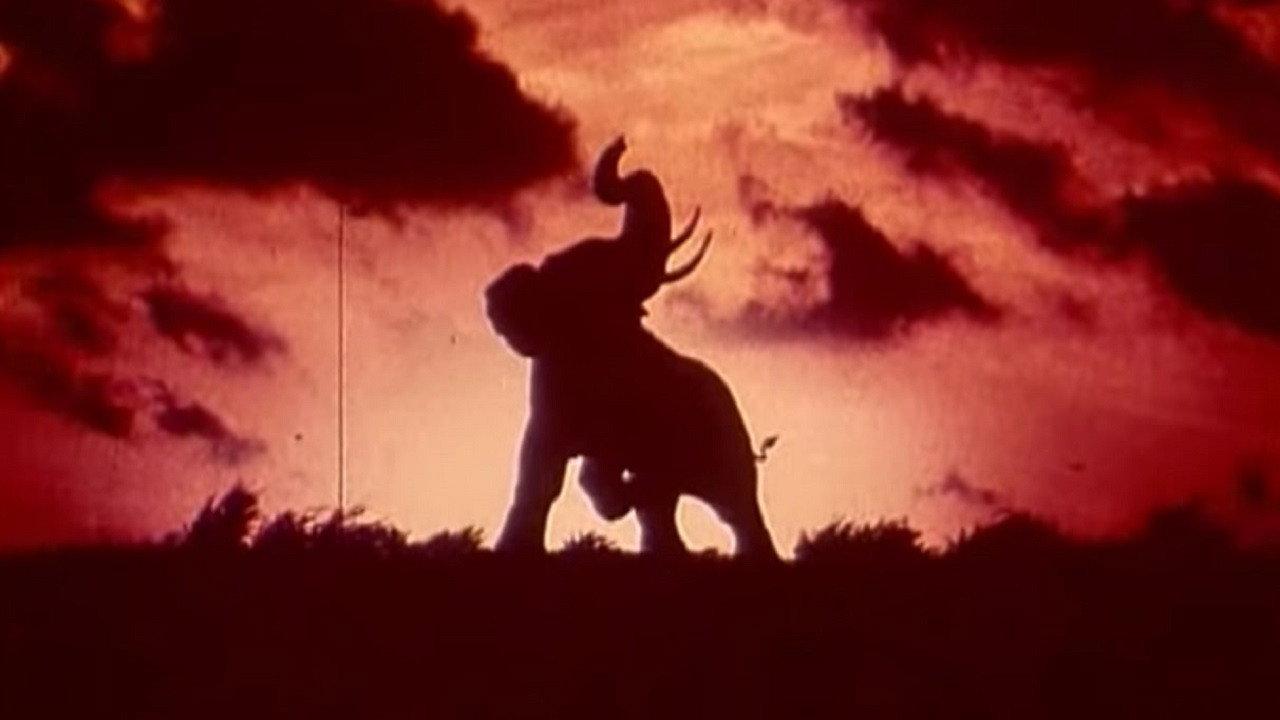 Tusk 1980 movie scene