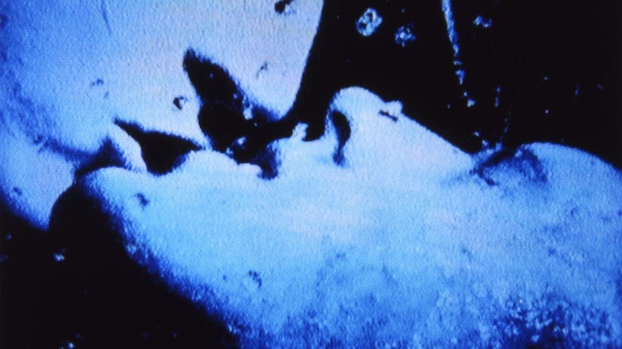 Self-Portrait in 23 Rounds: a Chapter in David Wojnarowicz’s Life, 1989–1991 2019 movie scene