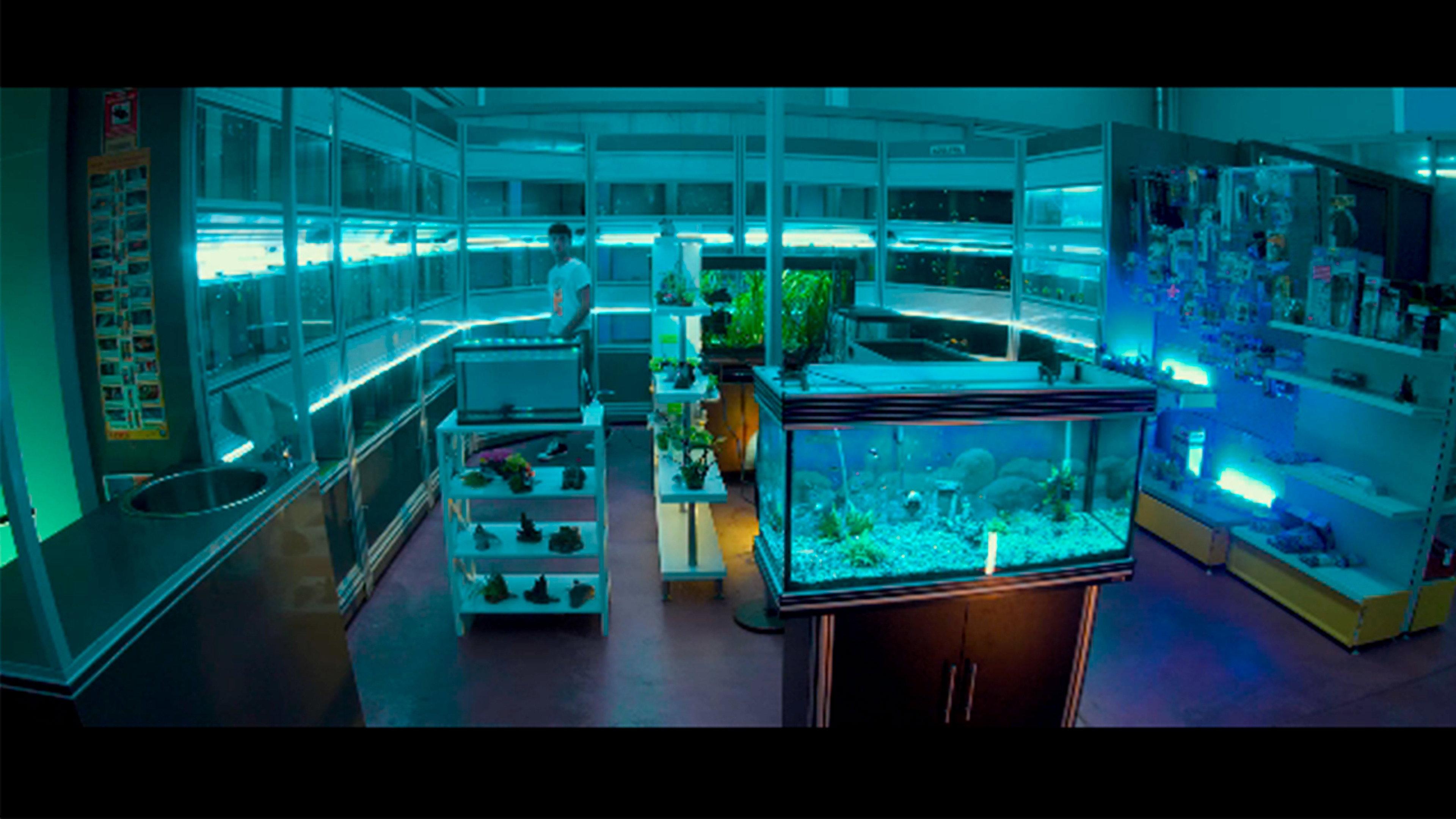 Splen 2023 movie scene