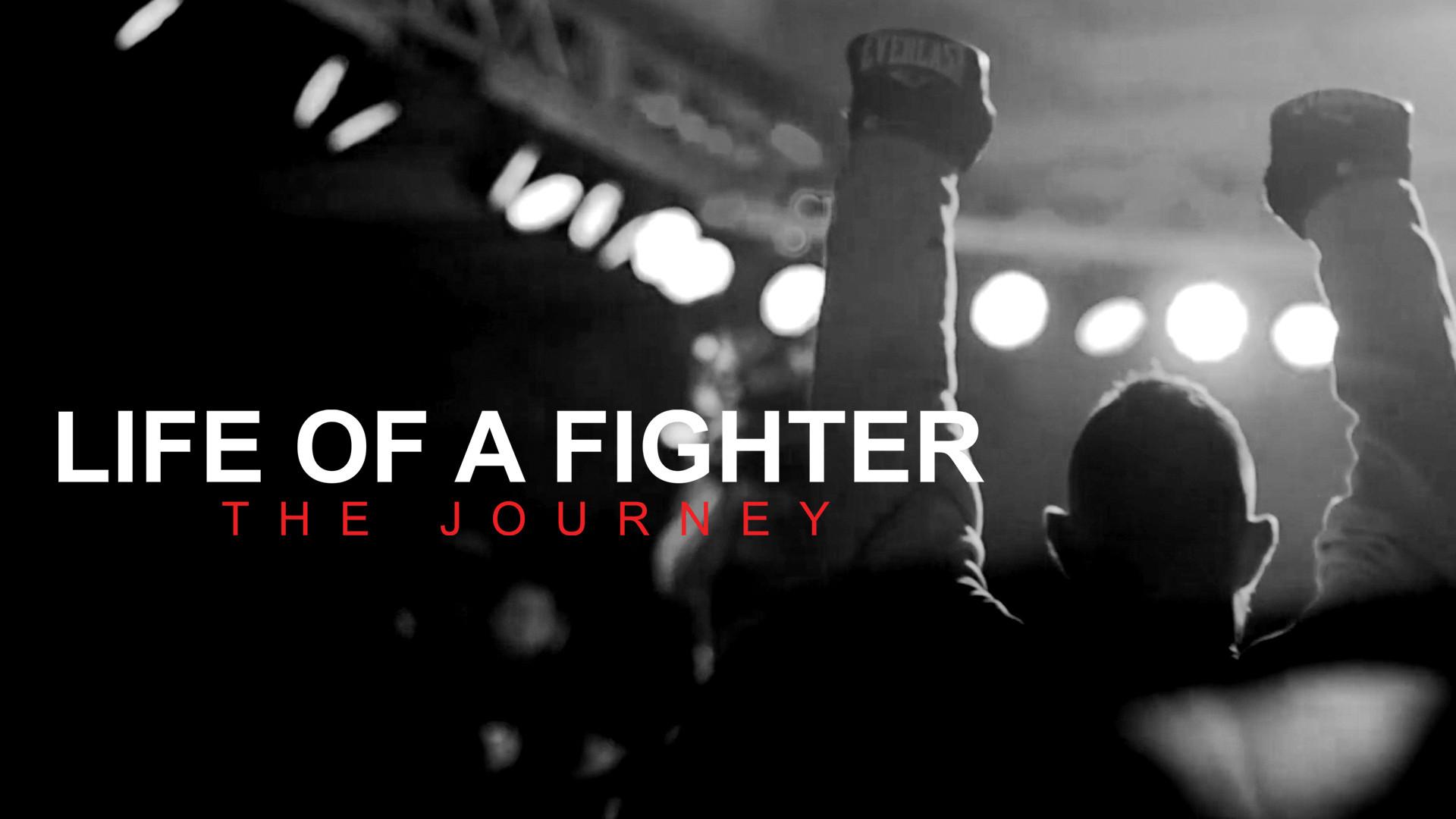 Life of a Fighter: The Journey 2021 movie scene