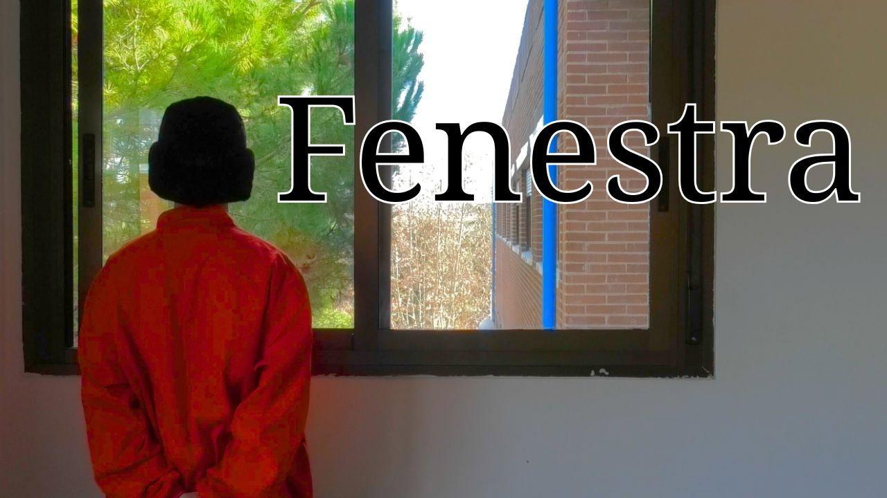 Fenestra 2025 movie scene
