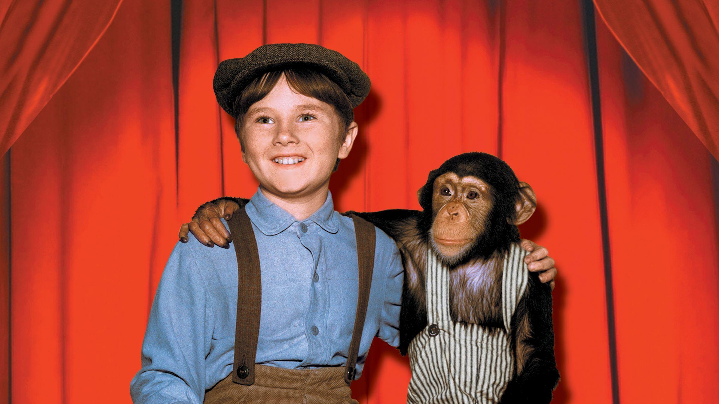 Toby Tyler or Ten Weeks with a Circus 1960 movie scene