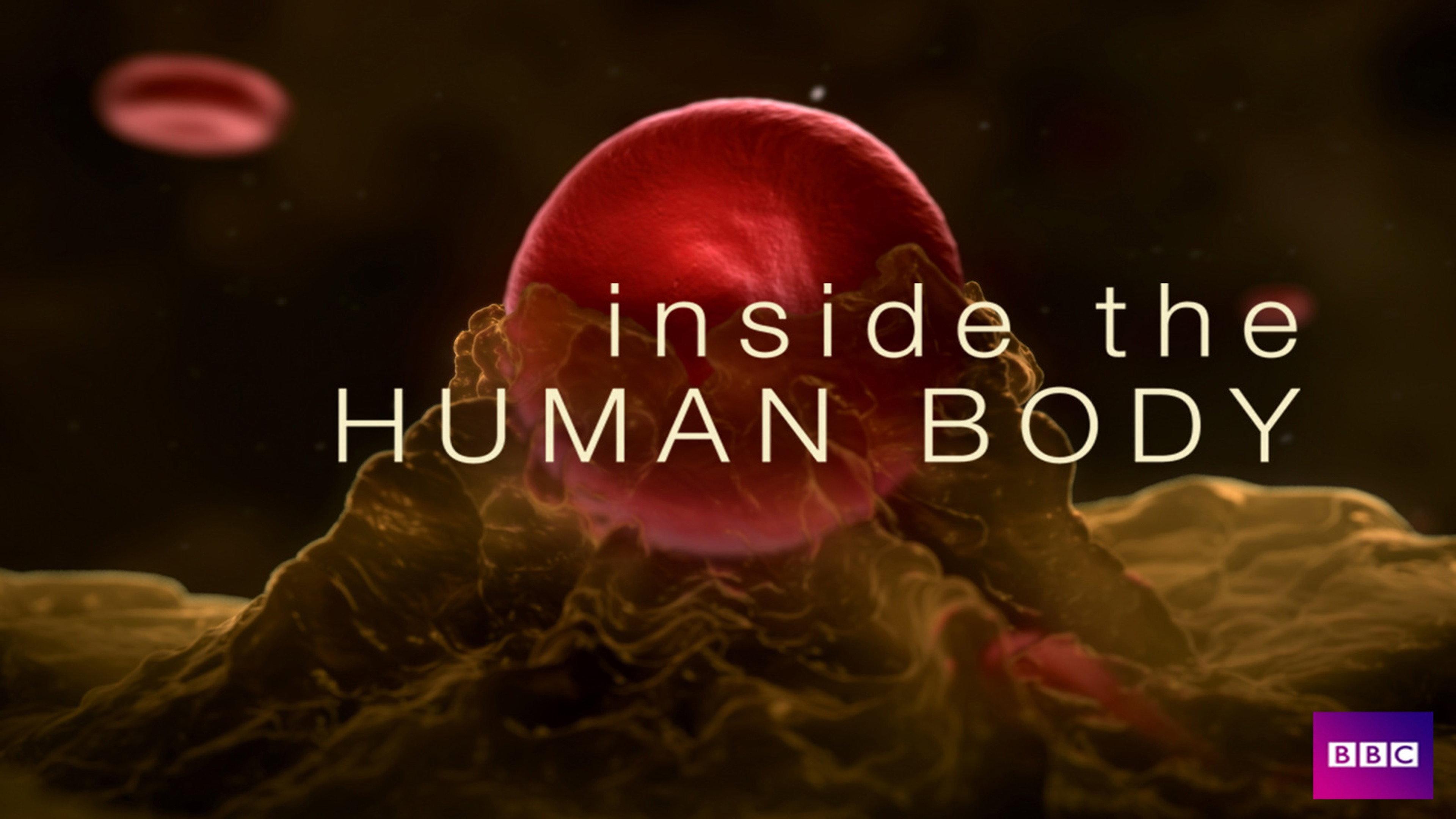 Inside the Human Body 2011 movie scene