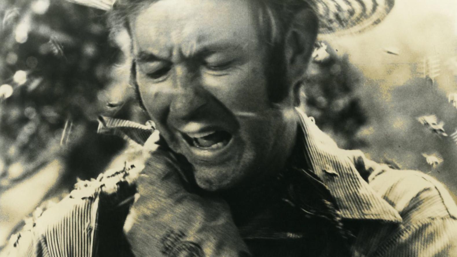 The Savage Bees 1976 movie scene