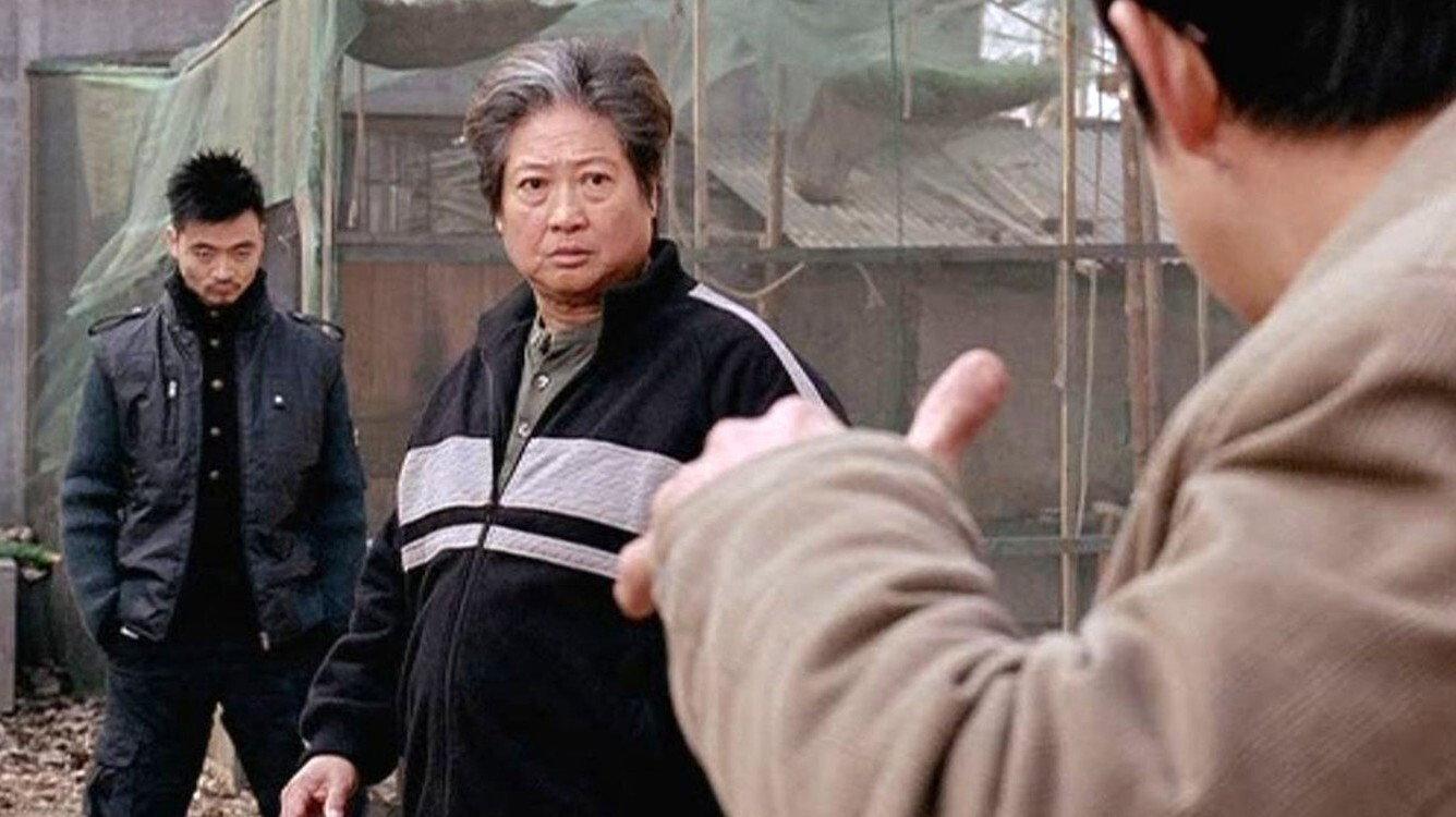 Wushu 2008 movie scene