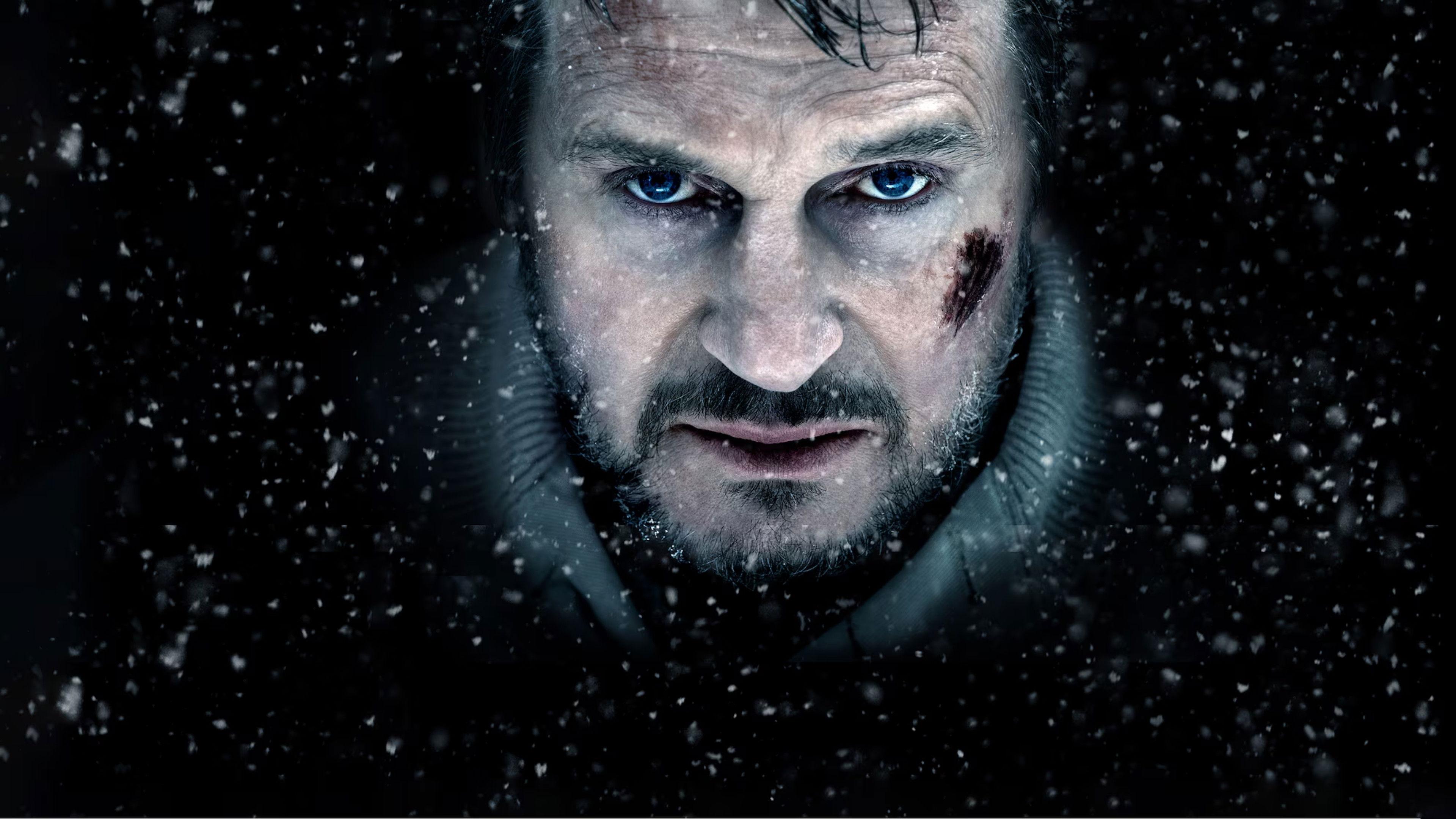 The Grey 2012 movie scene