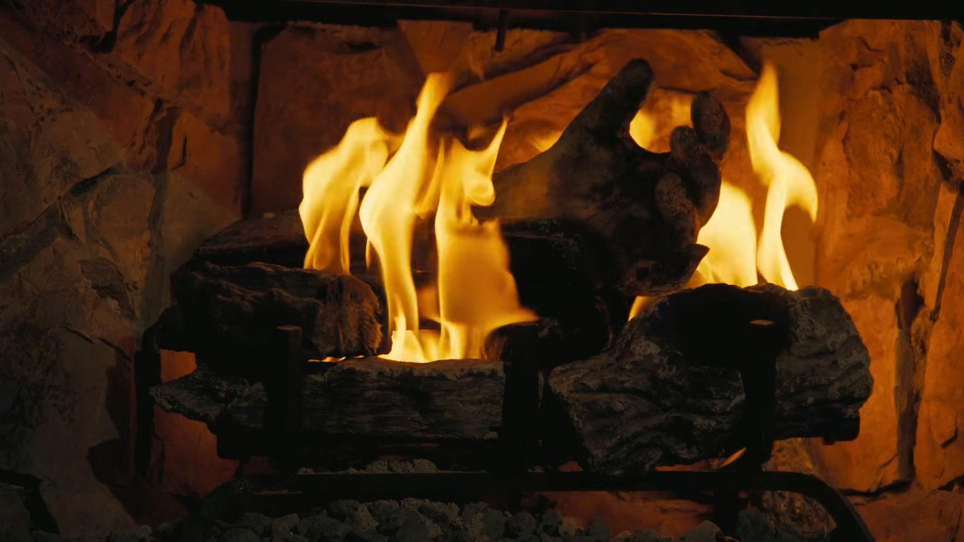 Fallout: The Ghoul Log 2025 movie scene