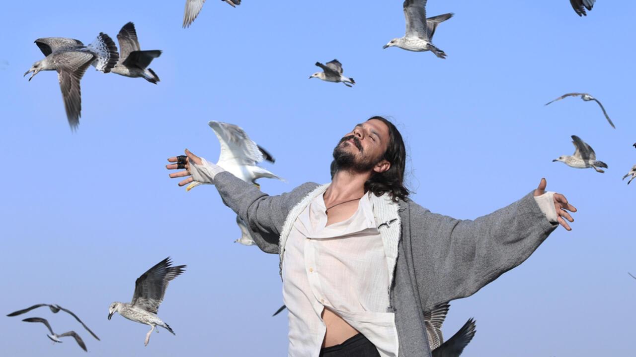The Lord of the Seagull 2017 movie scene