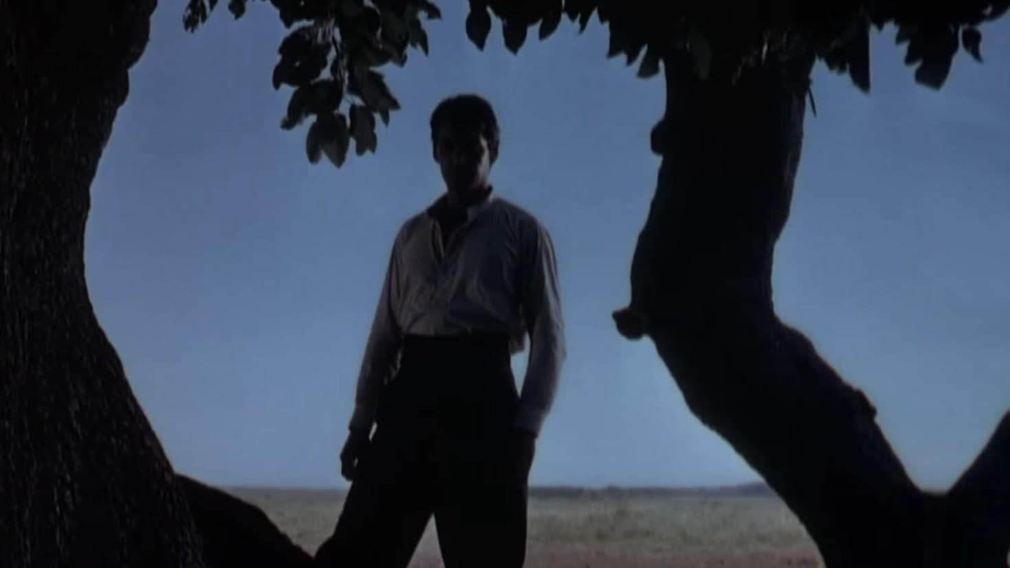 Way of a Gaucho 1952 movie scene