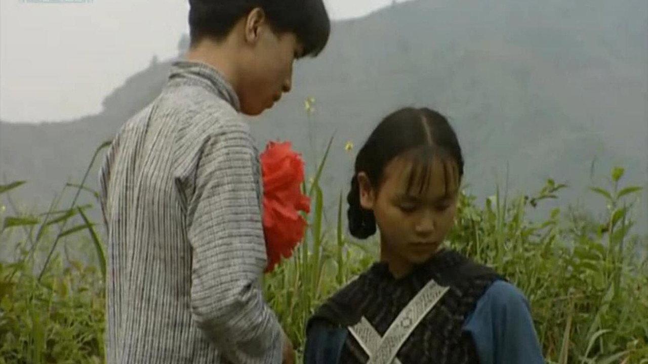 A Tao 2000 movie scene