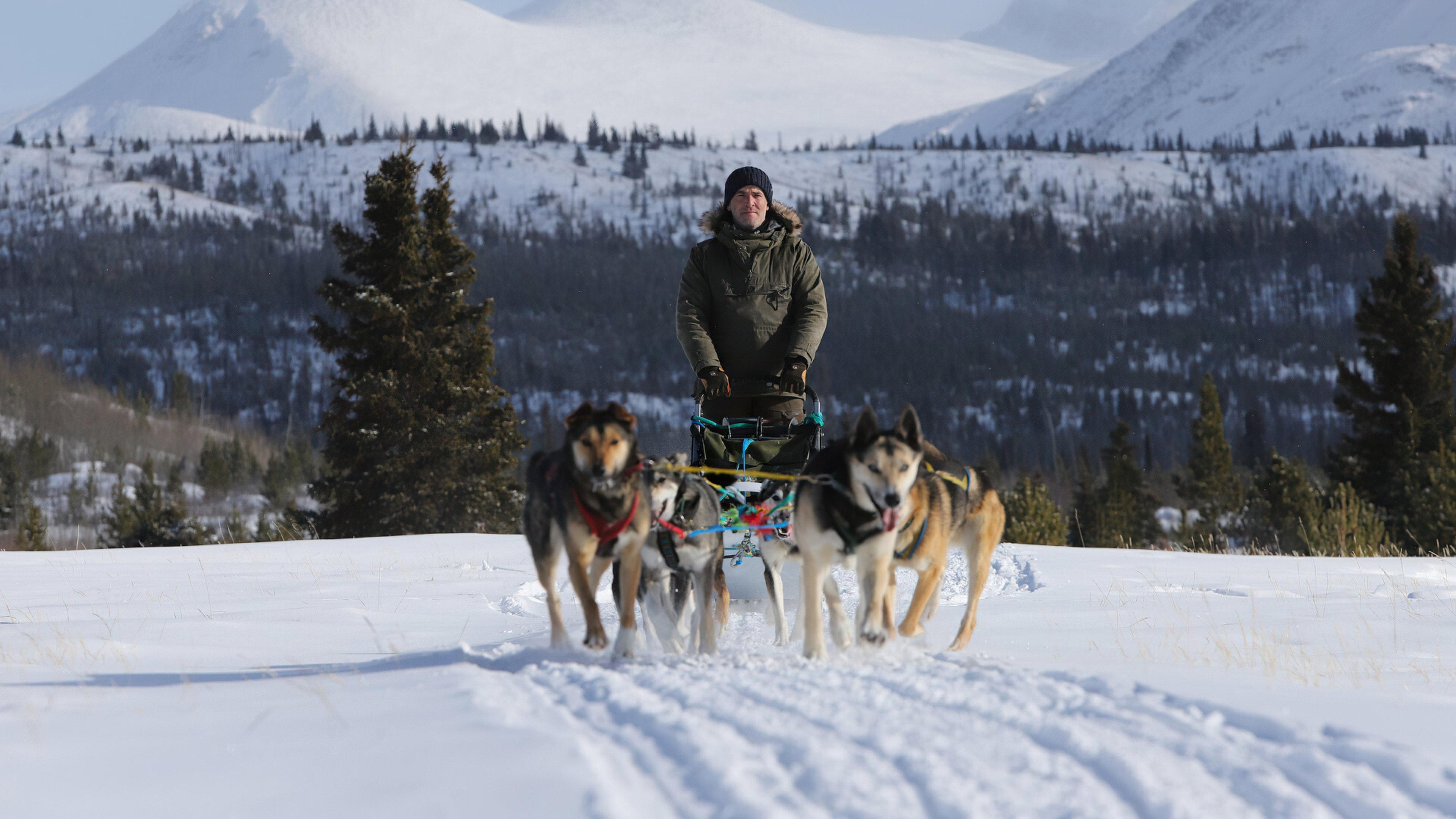 Snow Dogs 2022 movie scene