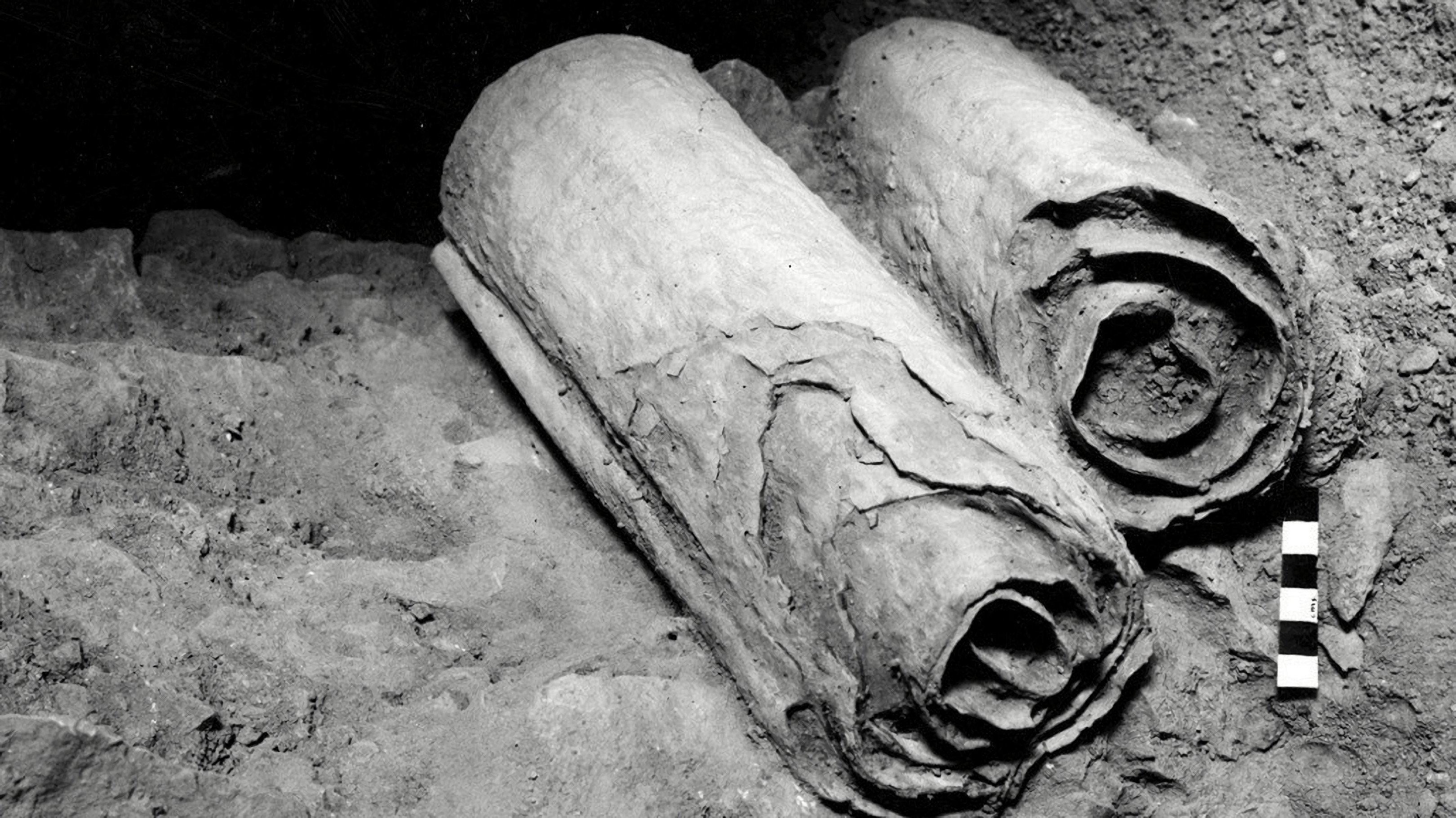 La ricerca dei rotoli del mar morto 2019 movie scene