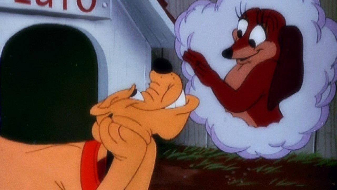 Wonder Dog 1950 movie scene