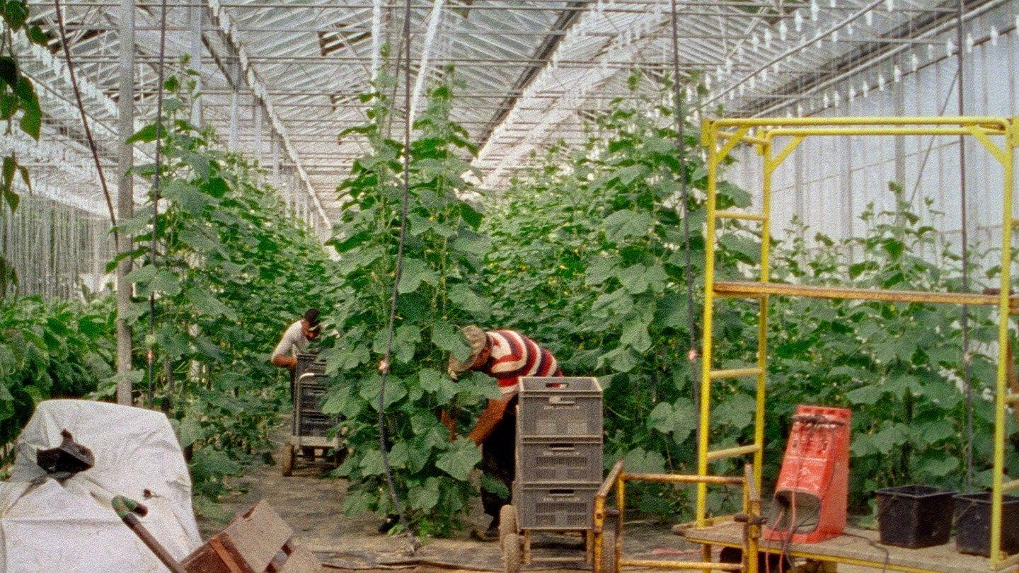 Les Habitants 2025 movie scene