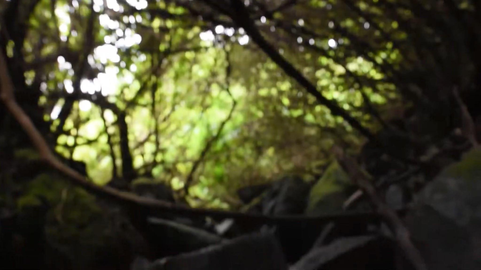 Inner Journey 2021 movie scene