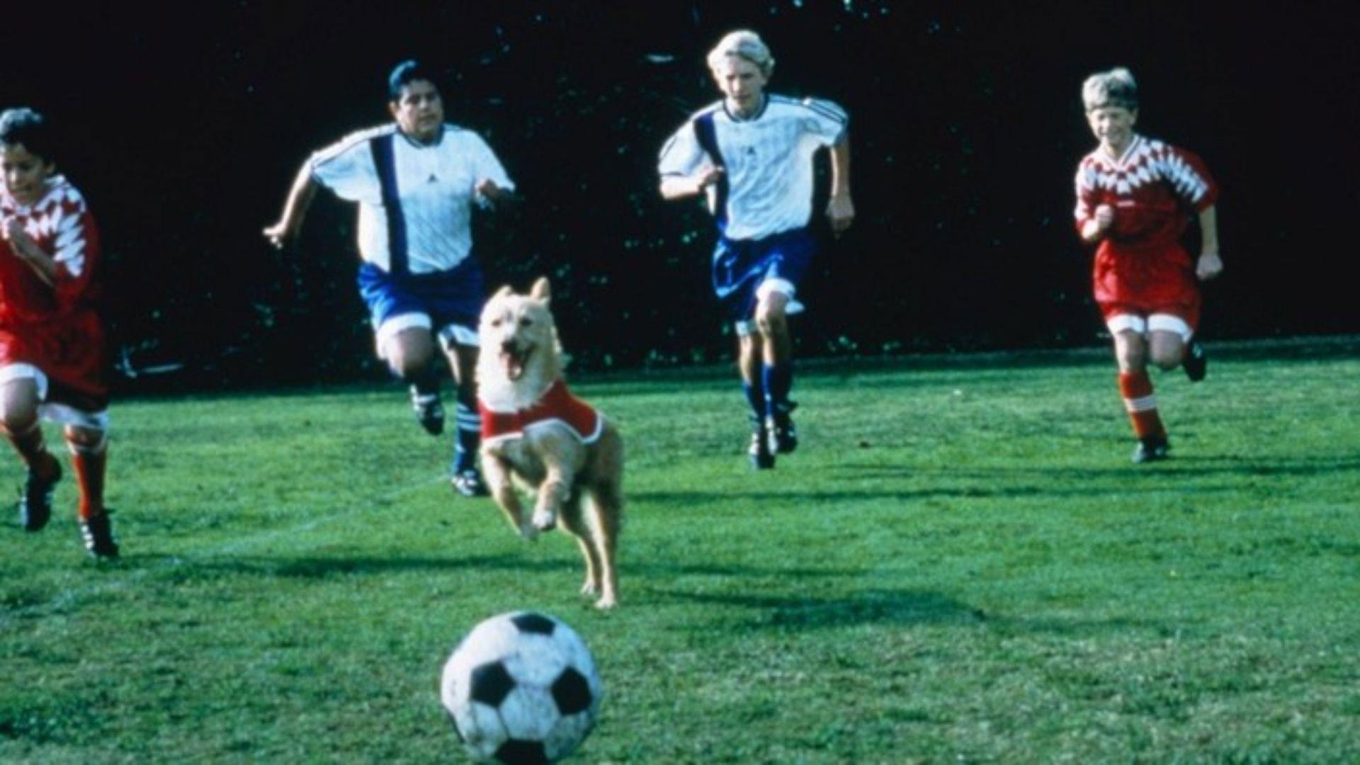 Soccer Dog: The Movie 1999 movie scene