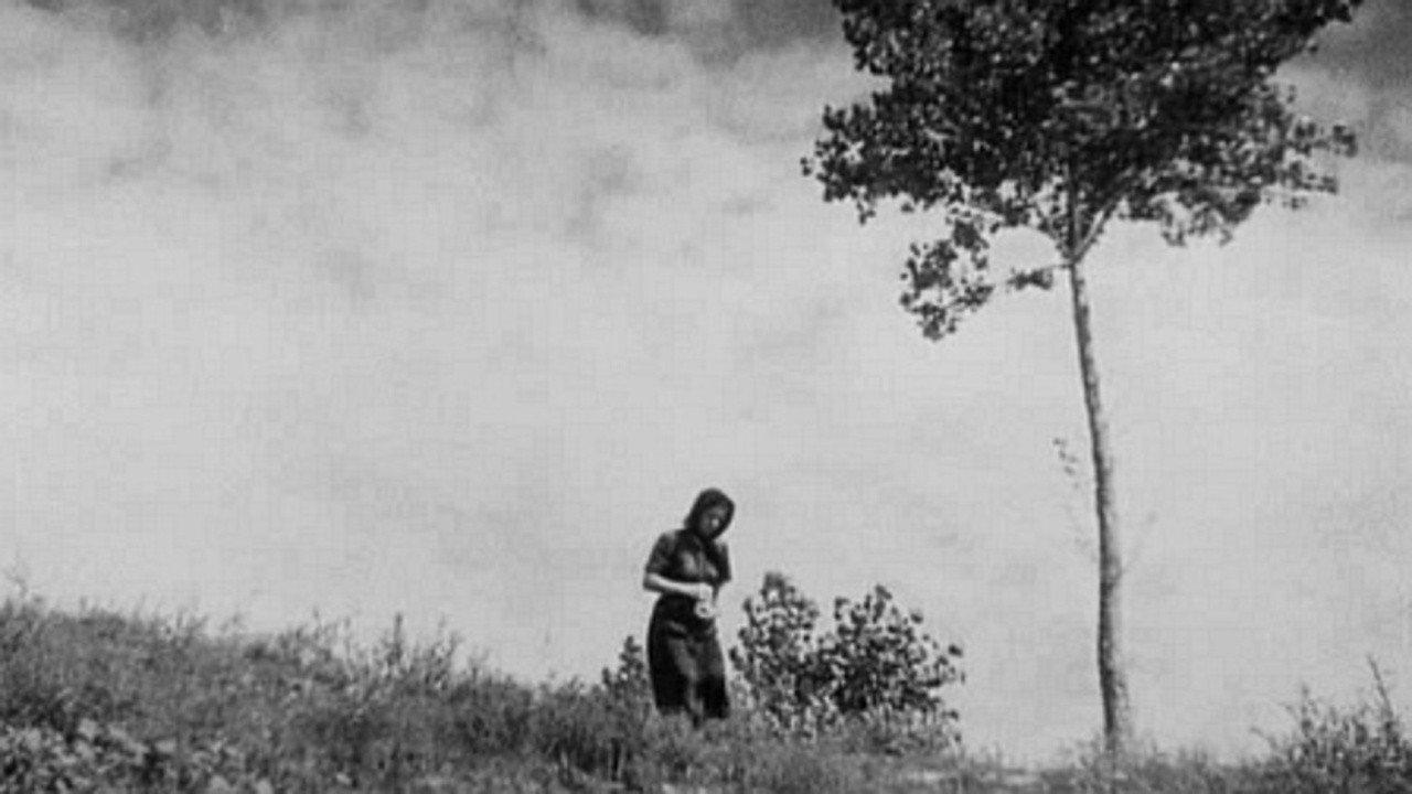 People of the Po Valley 1947 movie scene