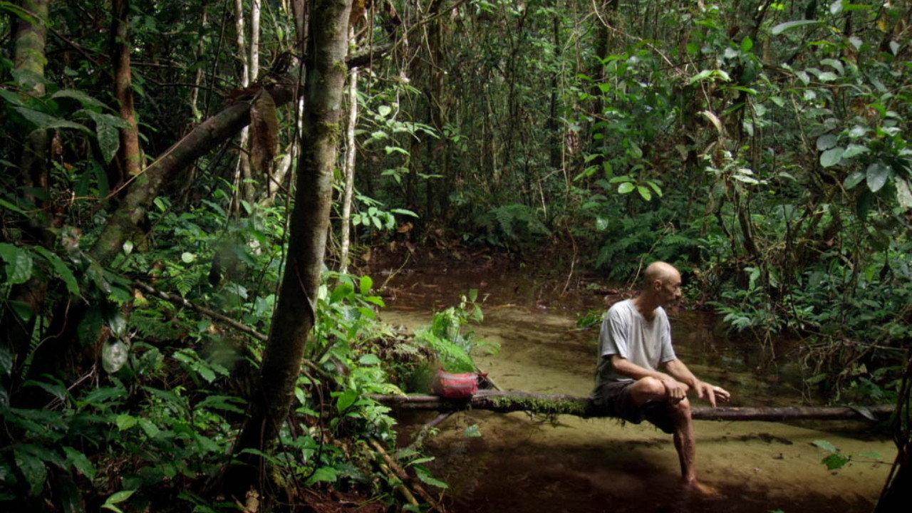 Song from the Forest 2014 movie scene