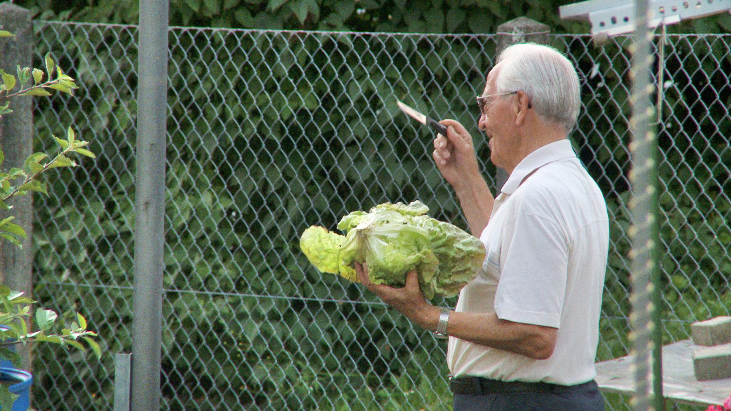 Father's Garden: The Love of My Parents 2013 movie scene
