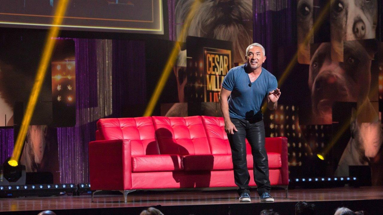 Cesar Millan: Viva Las Vegas! 2015 movie scene