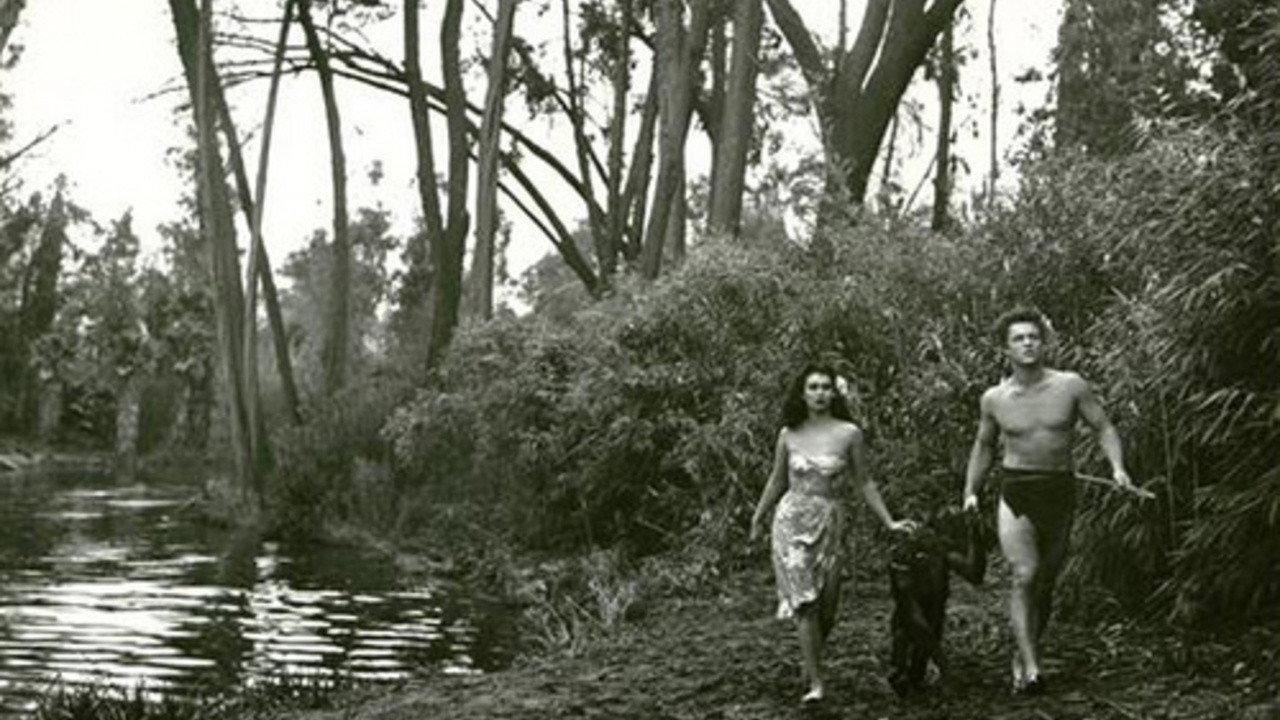 Bomba and the Hidden City 1950 movie scene