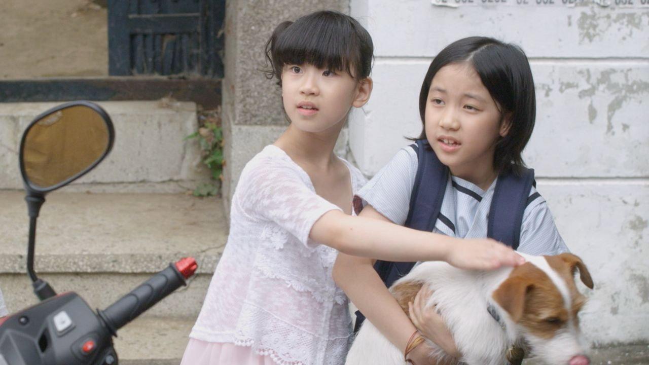 How to Steal a Dog 2014 movie scene