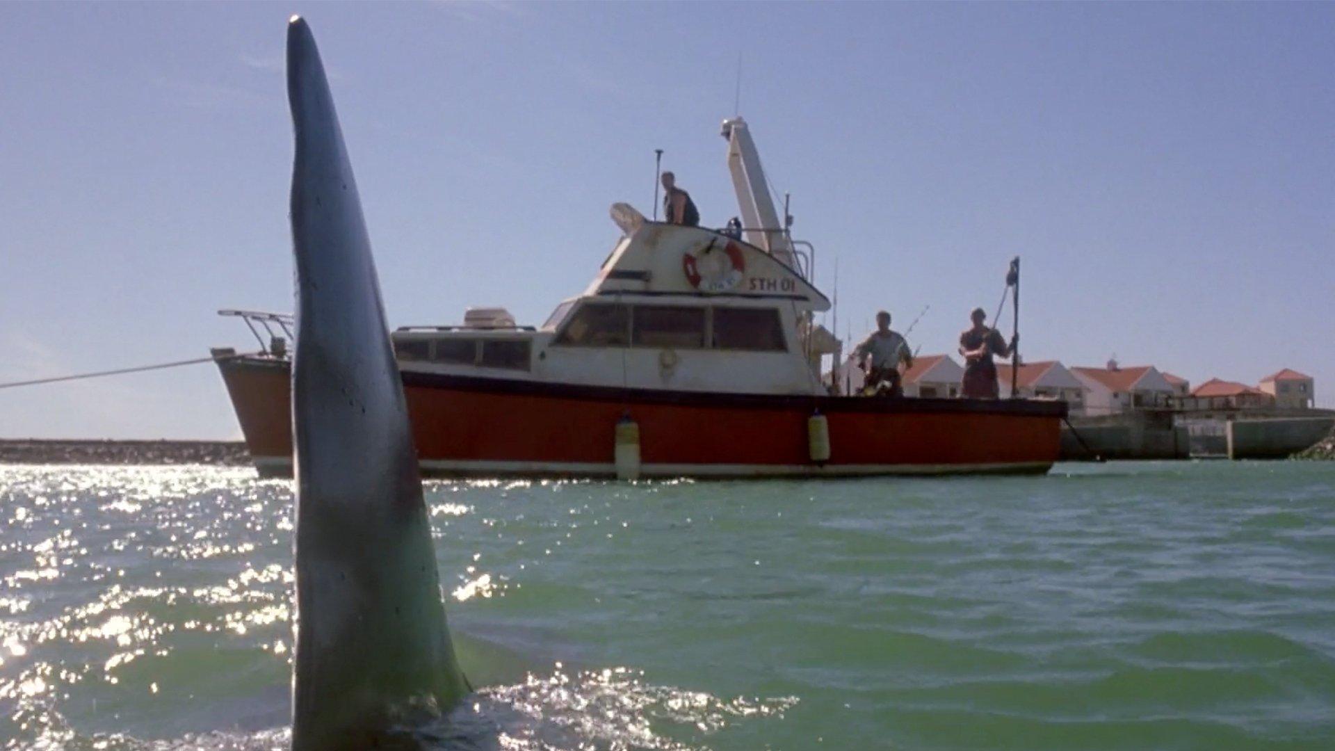 Shark Attack 2 2000 movie scene