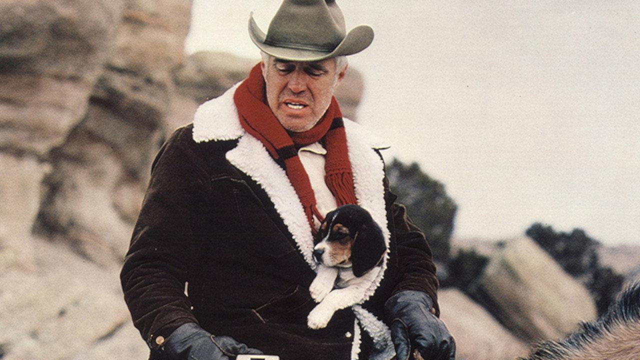 Five Days from Home 1978 movie scene
