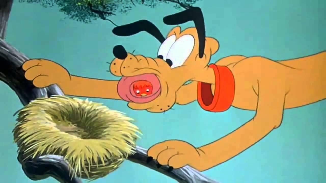 Pluto's Fledgling 1948 movie scene
