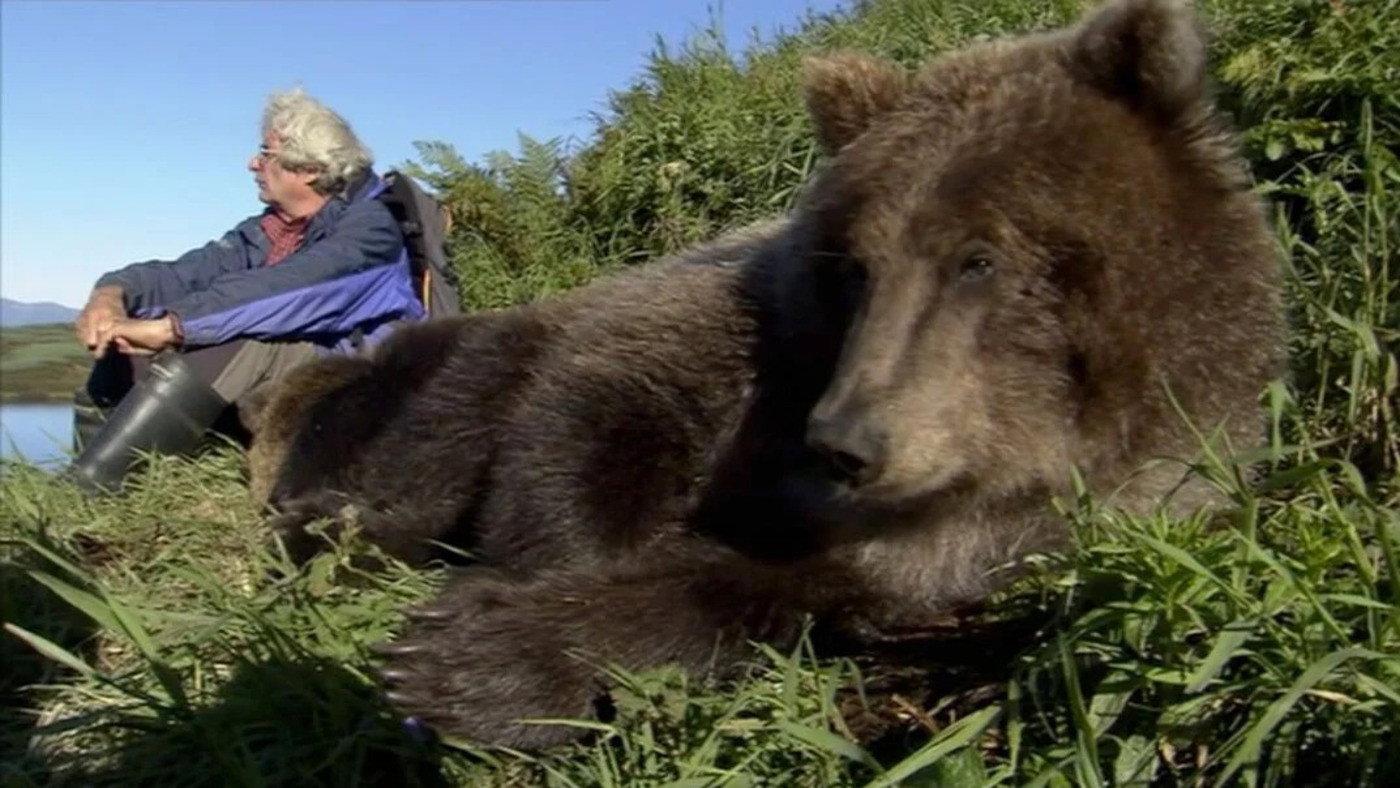 Edge of Eden: Living with Grizzlies 2007 movie scene
