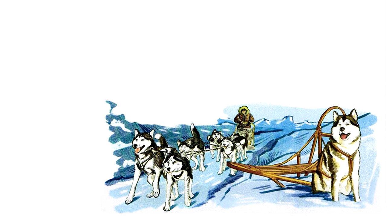 Alaskan Sled Dog 1957 movie scene