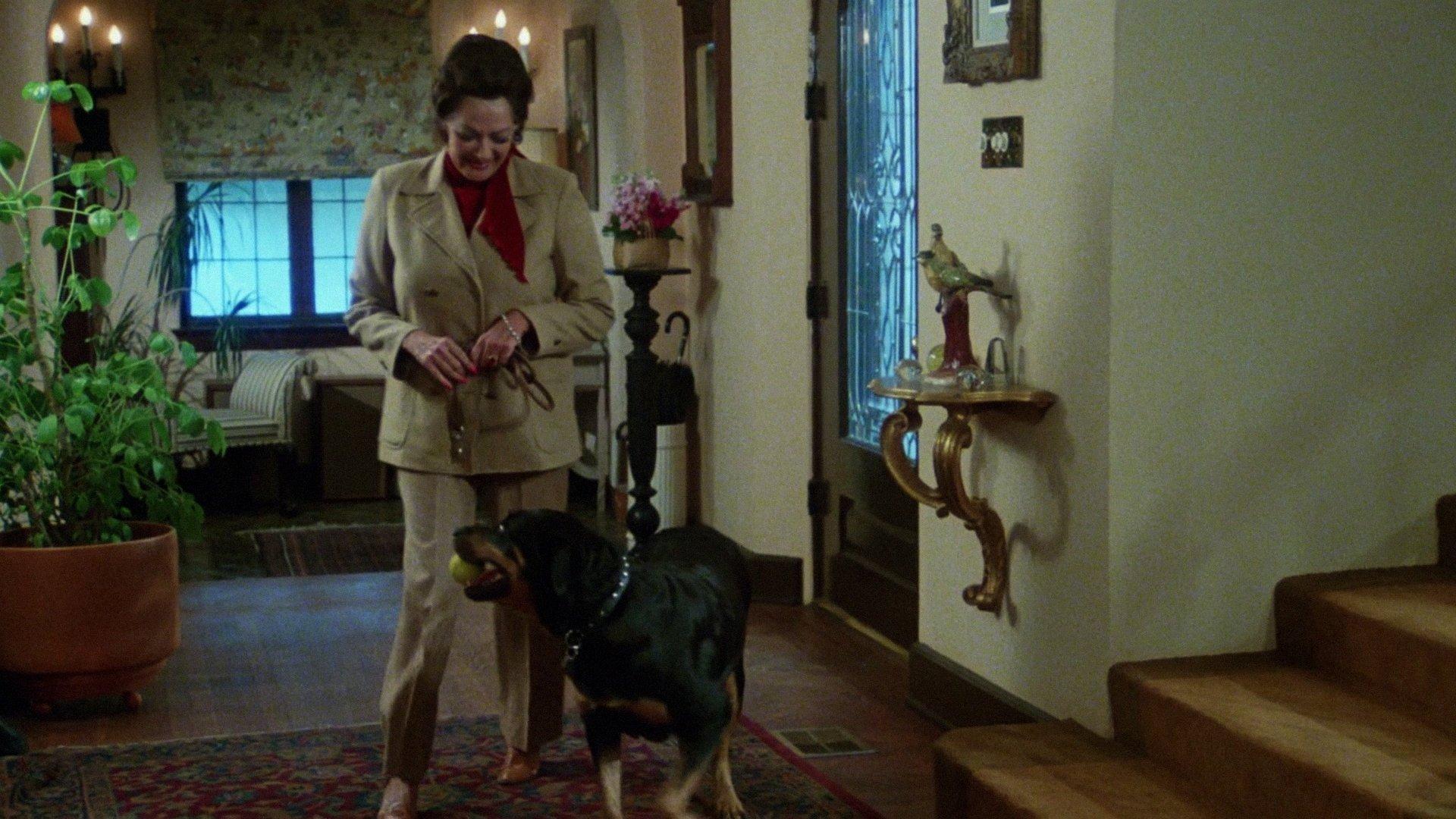Play Dead 1983 movie scene