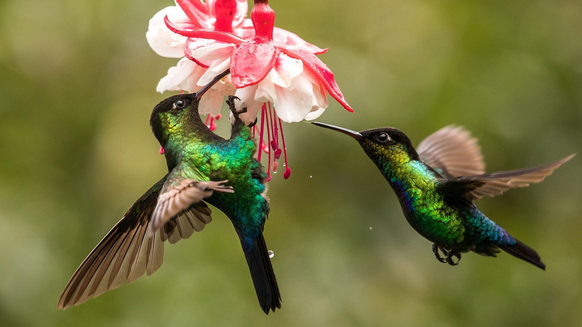 The Hummingbird Effect 2023 movie scene