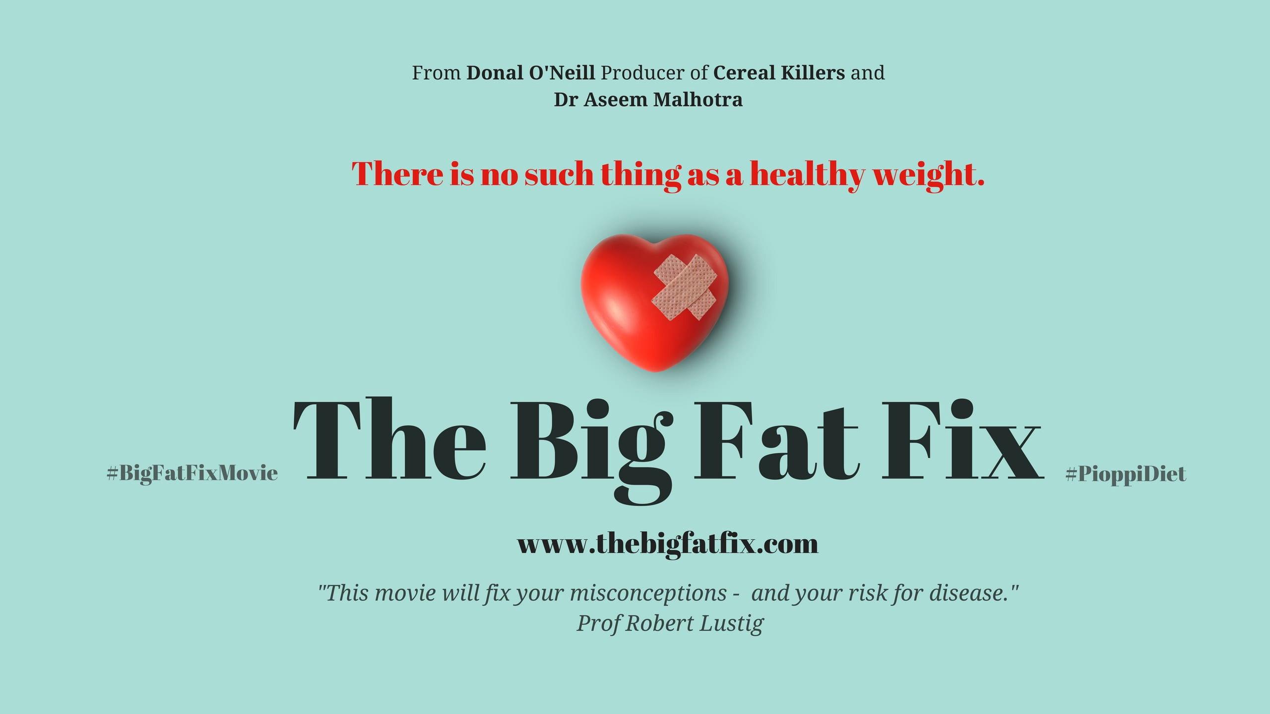 The Big Fat Fix 2016 movie scene