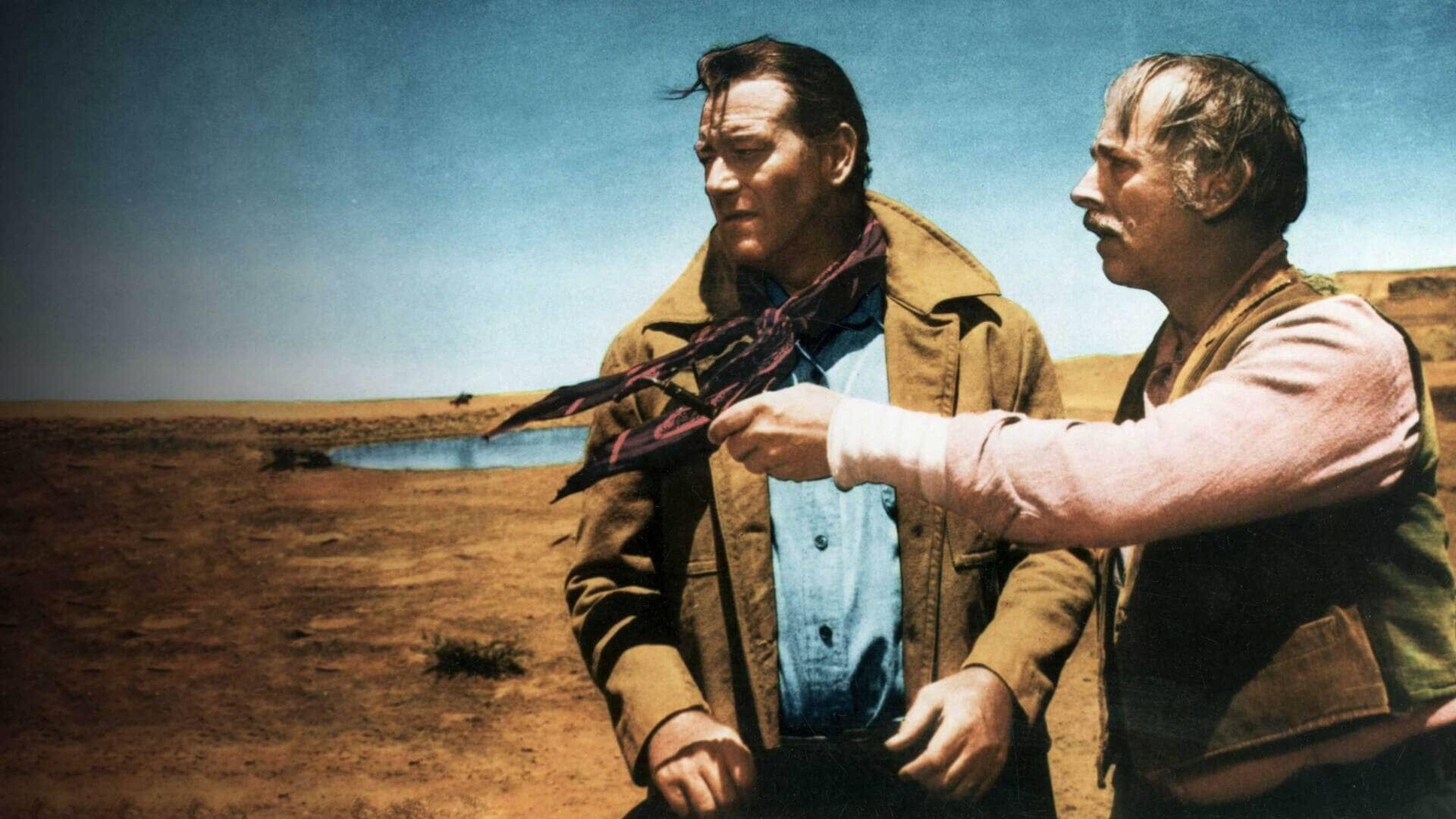 The Searchers 1956 movie scene
