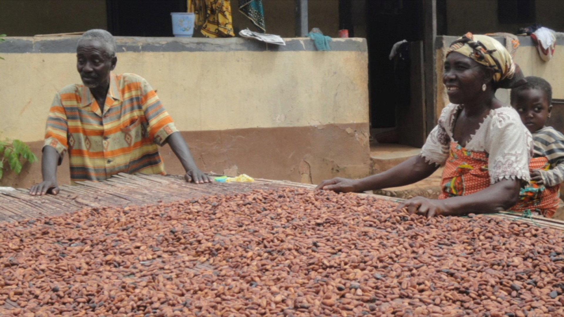 Doux-amer : cacao bio du Ghana 2012 movie scene
