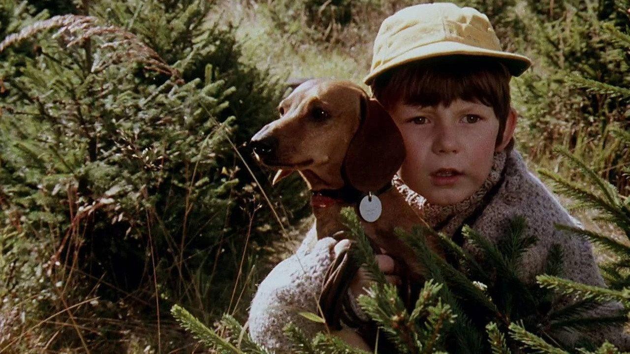 On the Poachers Trail 1979 movie scene