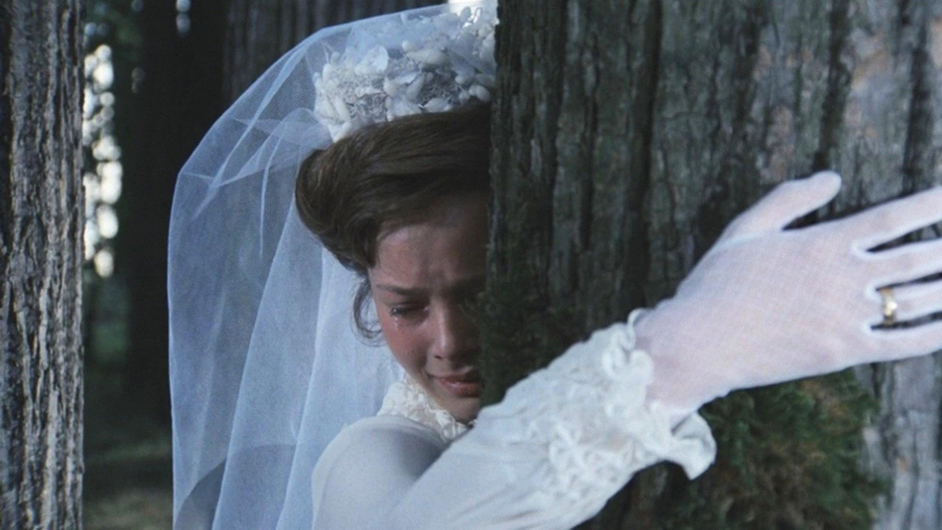 My Tender and Affectionate Beast 1978 movie scene