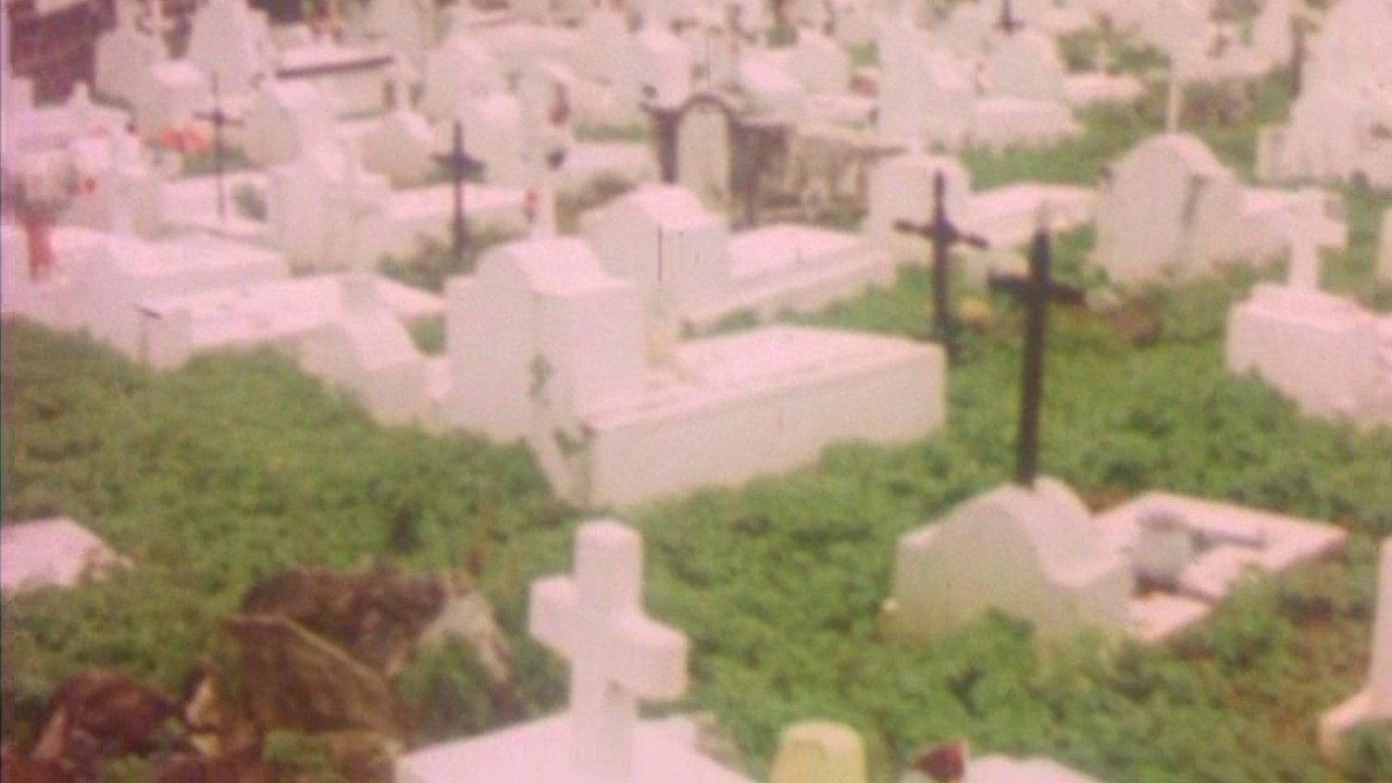 And the Dogs Were Silent 1976 movie scene