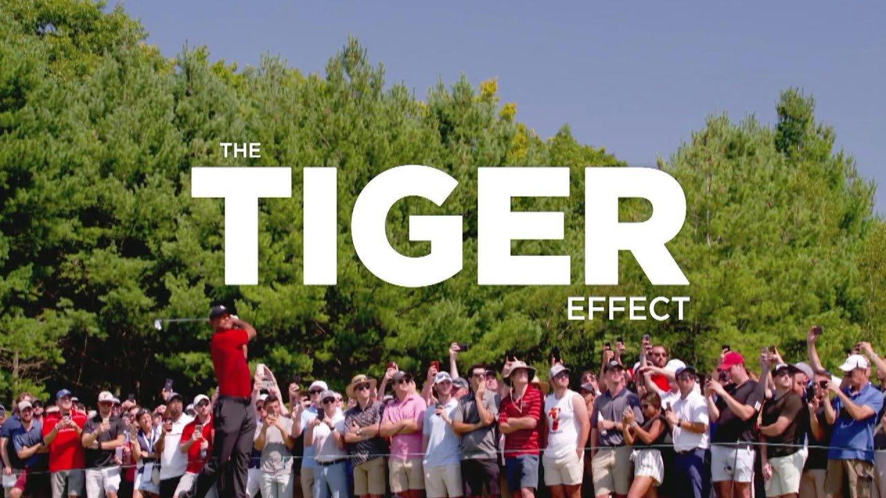 The Tiger Effect 2023 movie scene