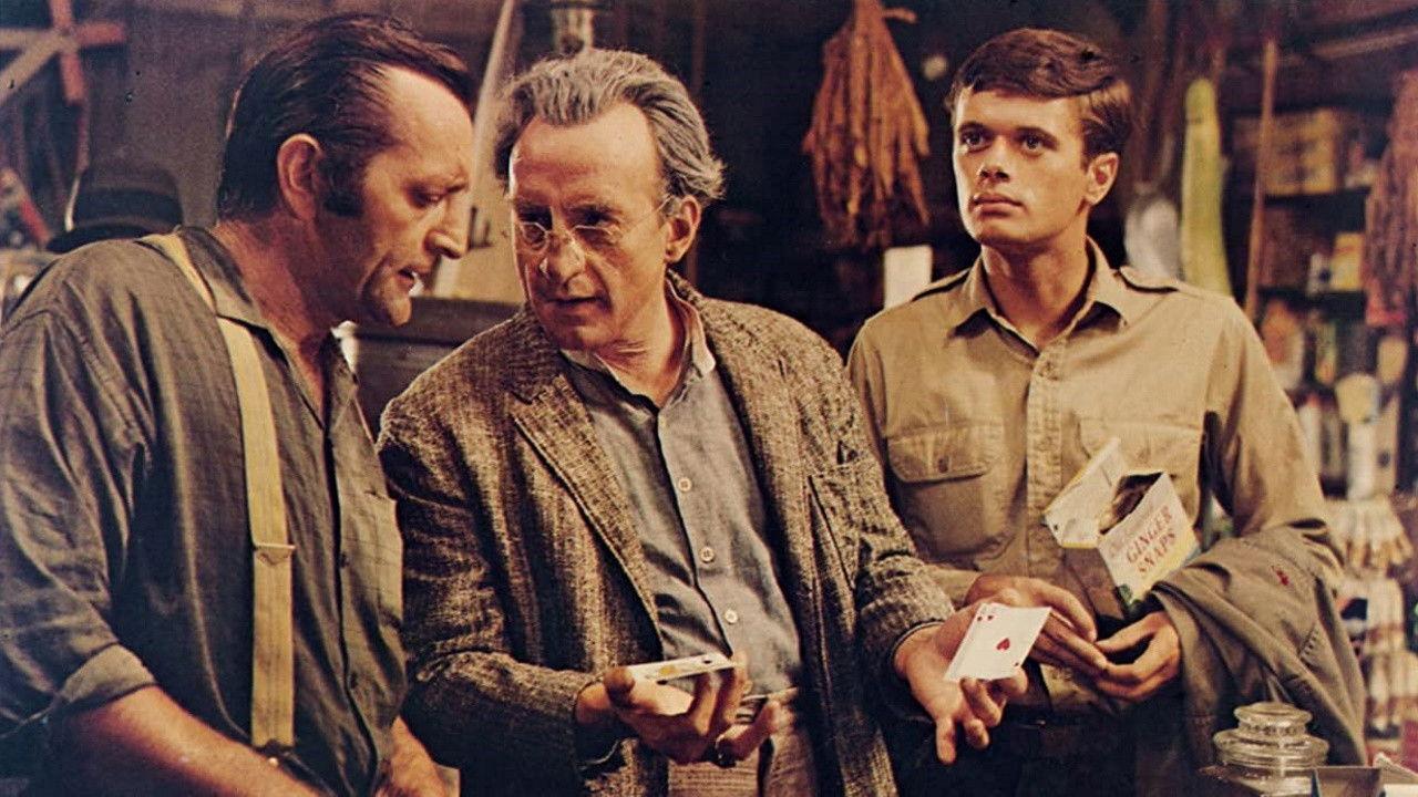 The Flim-Flam Man 1967 movie scene