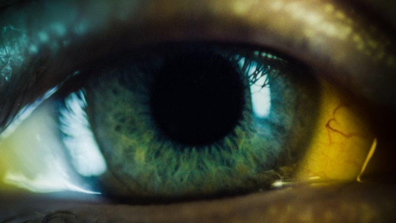 Nocebo 2014 movie scene