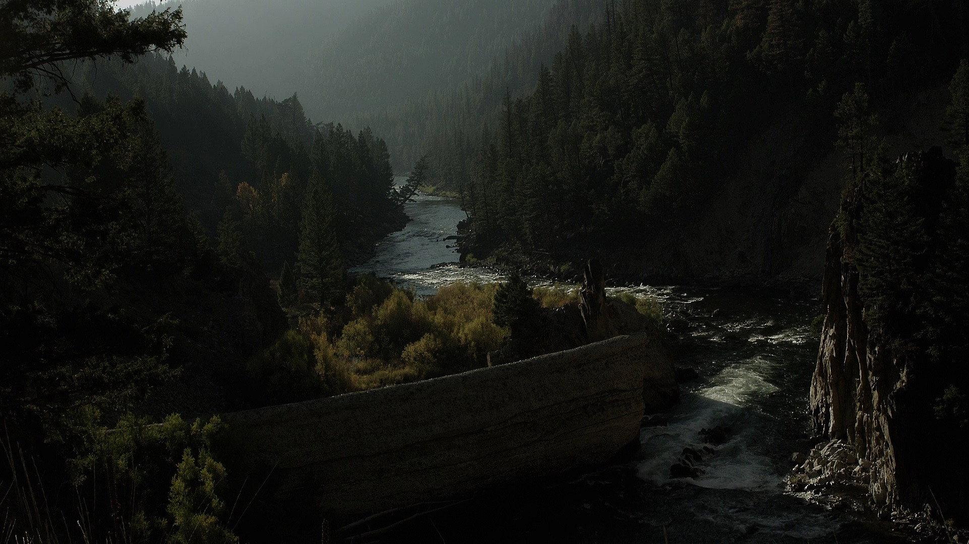River of Fundament 2014 movie scene